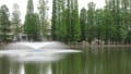 2015.4.29　別所沼公園～荒川河川敷