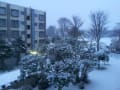 [17]記録的大雪（東京は45年ぶりの大雪とか）