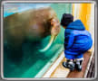 [8]8.水族館と高島岬