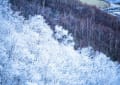 yotutiの写真日記…初冬の小樽峠
