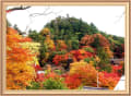 桜井「談山神社と紅葉」