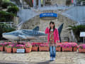 [3]美ら海水族館