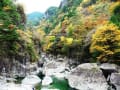 紅葉の吉野、洞川温泉