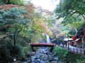 箕面公園～勝尾寺～千里北公園～三色彩道