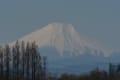 富士山の見える、田んぼや林で鳥たちと。