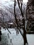 初日の出＆雪の京都