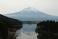 白糸の滝・田貫湖逆さ富士・下馬桜