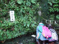 貴船神社