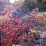 瑞宝寺公園