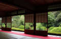 泉涌寺（雲龍院）と東福寺の青もみじ