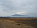 今日の冨士山と梅の花咲いてた！