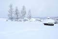 2012 冬の北海道を旅して・・・その１。　雪の富良野と層雲峡の氷瀑。