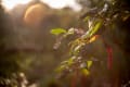 still life 201125