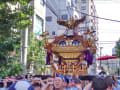 [1]LINE_ALBUM_特選写真展（2024亀戸天神社大祭）_240826_1.jpg