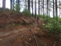 Whairakei MTB Park