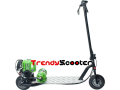 2 Things You Must Know About Progo 3000 propane scooter
