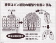 [12]東京都老人総合研究所資料