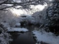 雪の朝と焚き火料理