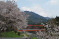 美山の春風景２０１３
