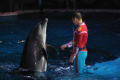 中国大連の水族館「聖亜海洋世界」