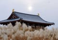 平城宮跡朱雀門