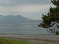 朝の散歩（駿河湾の釣り人と漁船、梅雨の花）