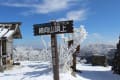 滋賀・綿向山の樹氷