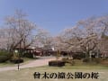 曾木の滝公園