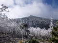 日本百名山 八経ヶ岳(1915ｍ)に登る