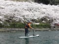 琵琶湖の花見はカヤックで