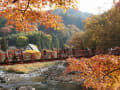 [26]香嵐橋