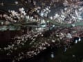 ２０１３年　境川　ライトアップされた夜桜