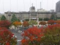 本能寺会館窓から雨の紅葉と京都市役所です！