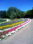 2015　初夏　長居植物園