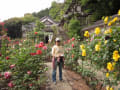 松尾寺のバラ