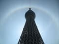 東京タワーってあれ？