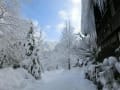 雪の奥飛騨「かつら木の郷」