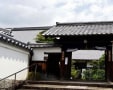 京都　妙心寺　沙羅の咲く庭