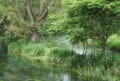 流水豊かな安曇野