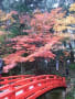 油山寺から大洞院へ