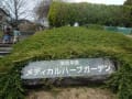 生活の木「薬香草園」　in   飯能