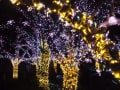 枚方パーク「光の遊園地」　　　　