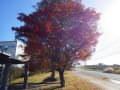 琴平スカイパークと野岳湖の紅葉