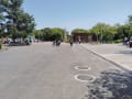5月3日服部緑地公園