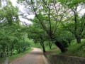 梅雨時期の公園にて