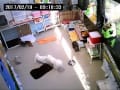 預かり犬ライブ画像