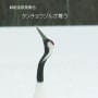 雪の釧路湿原…タンチョウヅルが舞う