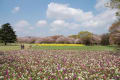 ４月１８日の国営昭和記念公園