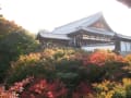 東福寺～京都御所　2014秋