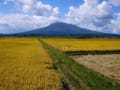 日本百名山の頂と風景⑩